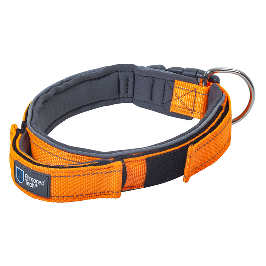 ArmoredTech Dog Control -kaulapanta, oranssi - M-koko: kaulanympärys 39-45 cm, leveys 35 mm