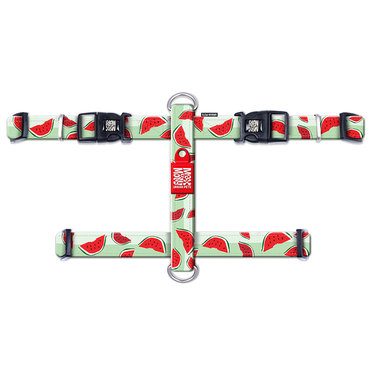 Max & Molly Watermelon -H-valjaat - koko S: rinnanympärys 41-52 cm