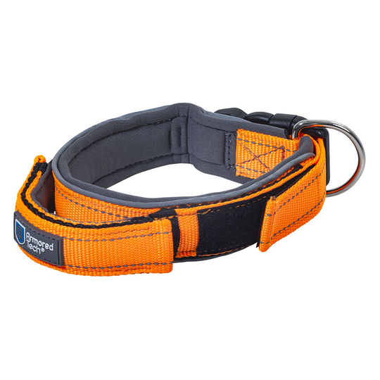 ArmoredTech Dog Control -kaulapanta, oranssi - S-koko: kaulanympärys 33-38 cm, leveys 30 mm