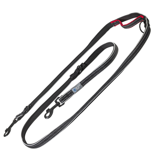 Dog Control -hihna musta - 220 cm pitkä, 20 mm leveä