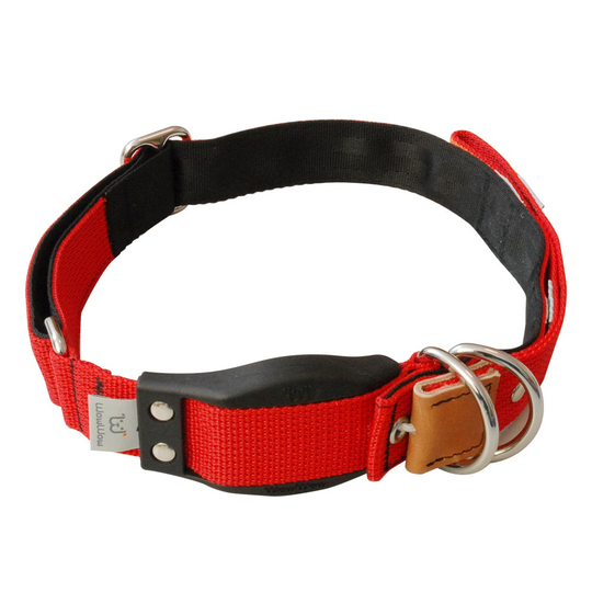 WowWow Professional -kaulapanta, punainen - L-koko: kaulanympärys 46 - 66 cm, L 35 mm