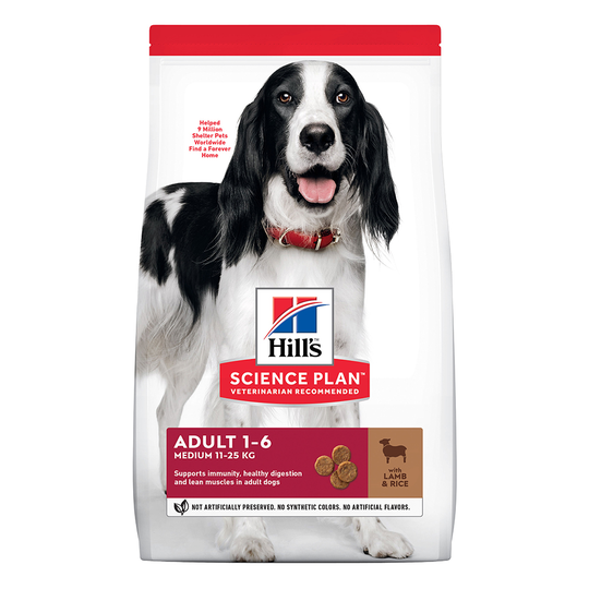 Hill's Science Plan -säästöpakkaus: 2 x suuri pakkaus - 2 x 14 kg Adult Medium Lamb & Rice