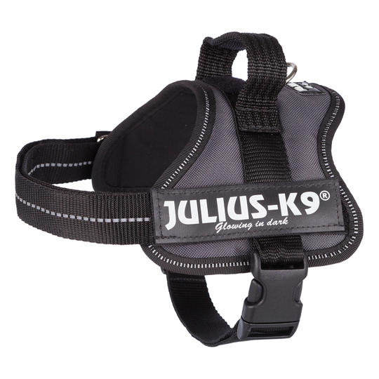 JULIUS-K9®-Power-koiranvaljaat, antrasiitti - Mini/M: 51-67 cm