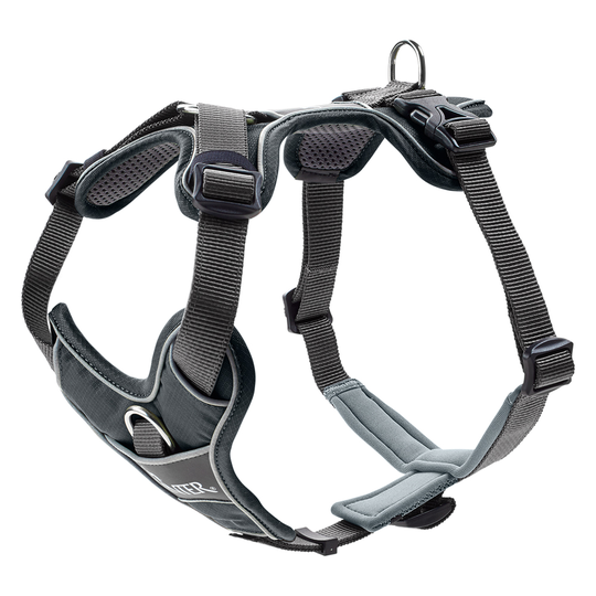 HUNTER Divo -koiranvaljaat, harmaa - koko S: rinnanympärys 45-56 cm